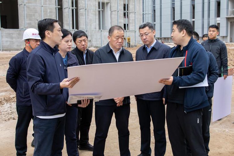 构建三门县本地网站的高效策略
